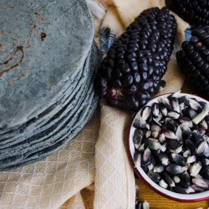 Stack of blue corn tortillas with organic blue corn kernels from War Eagle Mill
