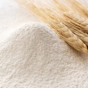 Soft, fine-textured organic pastry flour in a small pile with golden wheat stalks resting on top.