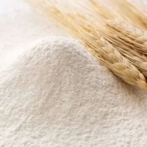 Close-up of Organic Pastry Flour with wheat stalks