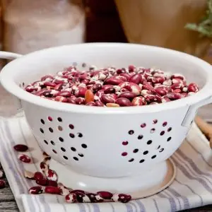 anasazi-ancient-beans